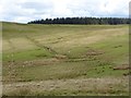 Hillside above the Alemoor Reservoir