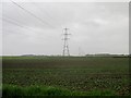 TA1136 : Pylons  over  fields  toward  Wawne by Martin Dawes
