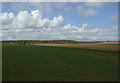 TG2338 : Large crop field near Northrepps by JThomas