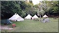 Beer - Youth Hostel Camping Lawn