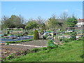 TQ3396 : Allotments east of Ladysmith Road, EN1 by Mike Quinn