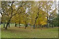 NS5768 : Ruchill Park by Richard Webb