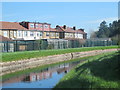 The New River by Carnarvon Avenue, EN1 (4)