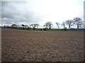 Field near Sunwick