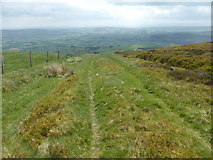 SO2163 : Rough bridle path on Bache Hill by David Medcalf