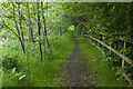 The footpath by Pendle Water