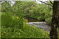 A weir on Pendle Water