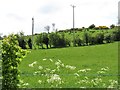 Telecommunications mast on Fort Hill