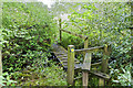 Stile and footbridge on the footpath to Raven