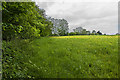 The invisible footpath follows the edge of the field