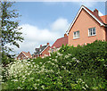 New houses looking down onto the footpath