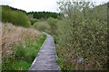 Boardwalk at Carrifran