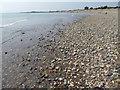 Looking along the shoreline towards the East Beach Cafe