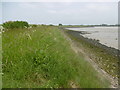 TQ8368 : View from the Saxon Shore Way at Motney Hill by Marathon