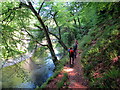 Ar lan Afon Taf / On the banks of the Taff River