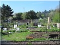 Enfield Playing Fields CA Allotments (4)