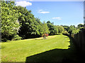 Meadow at Lyndhurst