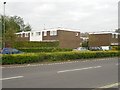 Houses in Austen Road