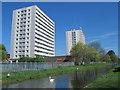 The New River between Carterhatch Lane and Hoe Lane (2)