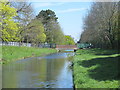 The New River south of Hoe Lane