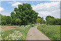 Access road to Wey Manor Farm