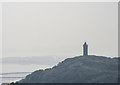 J4772 : Scrabo from Cairngaver by Rossographer