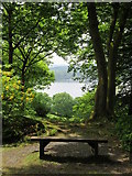 NY3702 : Bench with a view: Stagshaw Gardens by John H Darch