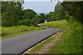 Road south of Godshill Wood