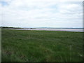 Coastal grazing towards Port Carlisle