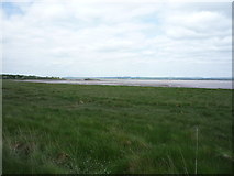 NY2461 : Coastal grazing towards Port Carlisle by JThomas