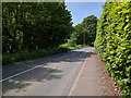 Going up Longdrag Hill, on the footpath