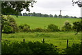 View into field near Allenford Pond