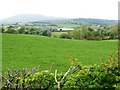 Pasture land between Cherryhill Road and Edendarriff Road