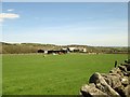 Riva  Hill  Farm  from  Nidderdale  Way