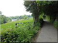 Monmouthshire lane near Tre-gagle