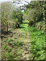 Nidderdale  Way  toward  Brimham  Lodge  farm