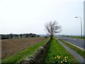 Looking north up the A68 near Rowley