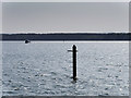 SZ0286 : Poole Harbour, Channel Marker Number 5 by David Dixon