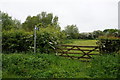 Footpath off Blacksmith Lane, The Leigh