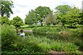 TQ3174 : Pond in Brockwell Park by DS Pugh