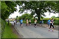 Runners on Sandy Bank