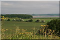 North Ferriby: Monks Way East to Long Plantation and the Humber