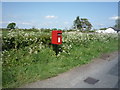NY2457 : Elizabeth II postbox, Whitrigglees by JThomas