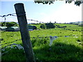 Sheep wool on barbed wire along Leveracaw Road