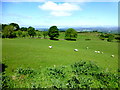 Dunbunrawer Townland