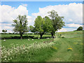 Aylesbury Ring Path at Butler