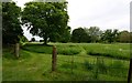 Kingston Bagpuize House: View from the house