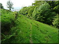 Footpath off Ive House Lane, Warley