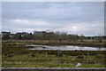 Lake, Doxey Marsh Nature Reserve