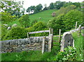 Stile on footpath off Elbow lane, Warley